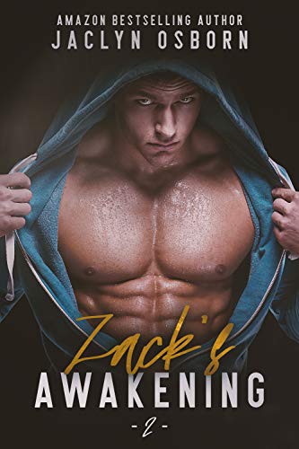 Zack's Awakening cover