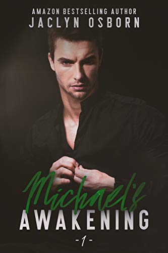 Michael's Awakening book cover