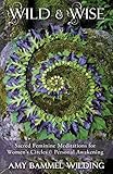 Wild Wise Sacred Feminine Meditations For Womens Circles Personal Awakening English Edition