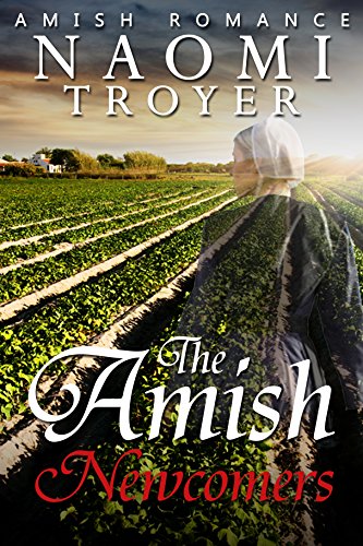The Amish Newcomers book cover