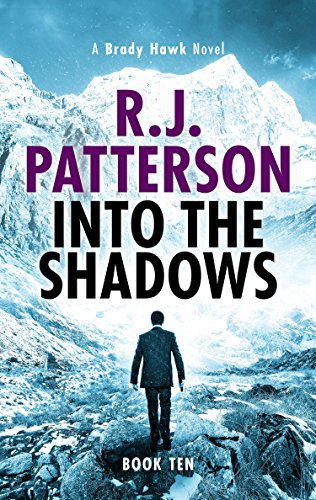 Into the Shadows book cover