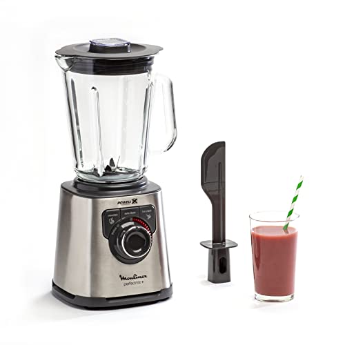Moulinex Perfect Mix+ LM811D batidora de vaso