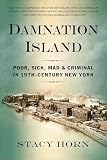 Damnation Island Poor Sick Mad And Criminal In 19thcentury New York