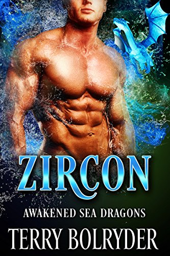 Zircon book cover