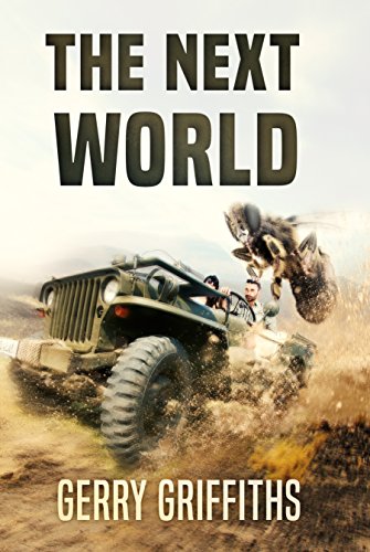 The Next World book cover
