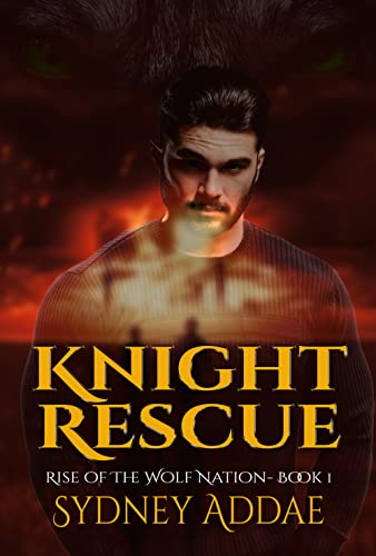 Knight Rescue book cover