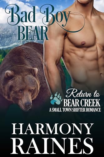 Bad Boy Bear book cover