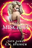 Elements Of Mischief Hijinks Harem Book 1