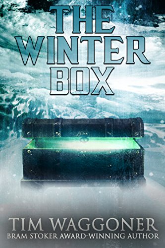 The Winter Box book cover