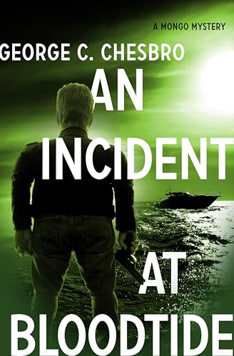 An Incident at Bloodtide book cover