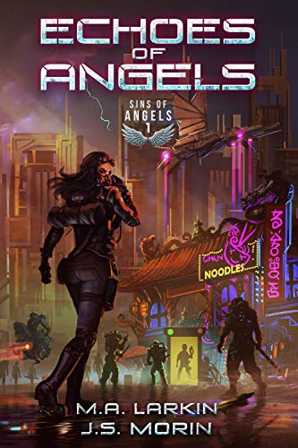 Echoes of Angels book cover