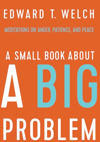 A Small Book about a Big Problem book cover