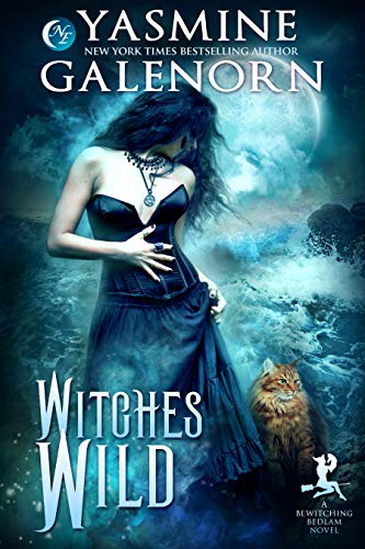 Witches Wild book cover