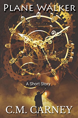 Plane Walker book cover