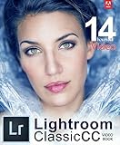 Adobe Lightroom Classic Cc Video Book English Edition
