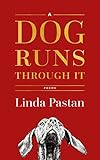 A Dog Runs Through It Poems English Edition