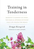 Training In Tenderness Buddhist Teachings On Tsewa The Radical Openness Of Heart That Can Change The World English Edition