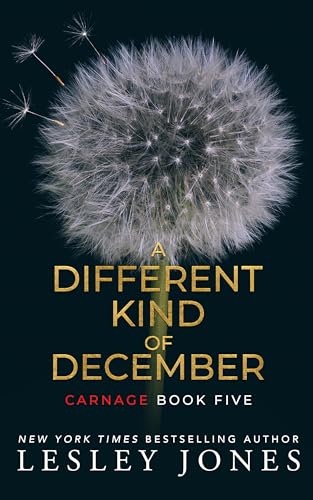 A Different Kind of December book cover