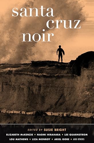 Santa Cruz Noir book cover
