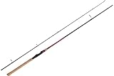 Shimano Catana EX Spinning 2,70 H