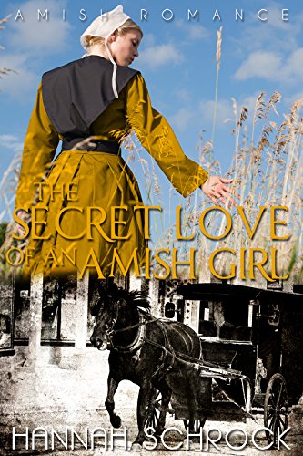 The Secret Love Of An Amish Girl book cover