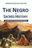 The Negro In Sacred History Or Ham And His Immediate Descendants 1905 English Edition