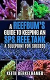 A Reefbums Guide To Keeping An Sps Reef Tank A Blueprint For Success