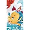 フランダー(Flounder),セバスチャン(Sebastian) ディズニー - フランダー(Flounder),セバスチャン(Sebastian) XFVGA(480×854)壁紙 301427