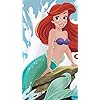 ディズニー - アリエル（Ariel） iPhoneSE/5s/5c/5(640×1136)壁紙 304936