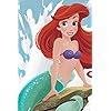 アリエル(Ariel) ディズニー - アリエル(Ariel) iPhone(640×960)壁紙 310167