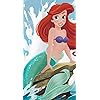 ディズニー - アリエル（Ariel） iPhoneSE/5s/5c/5 壁紙 視差効果 300856