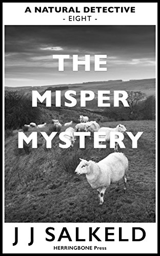 The MISPER Mystery book cover