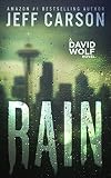Rain David Wolf Book 11