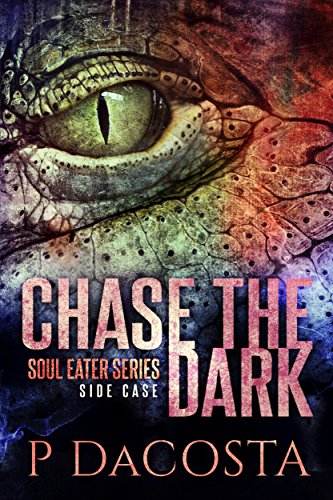 Chase The Dark book cover