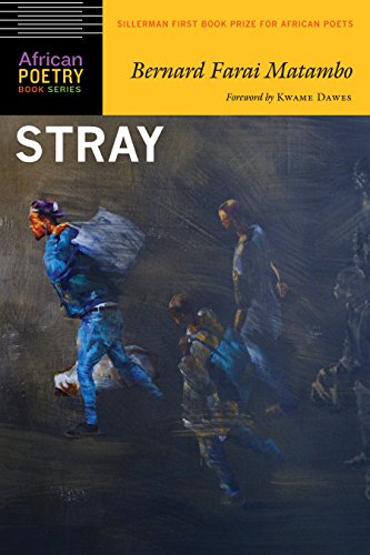 Stray book cover