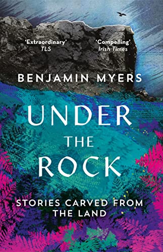 Under the Rock: The Poetry of a Place book cover
