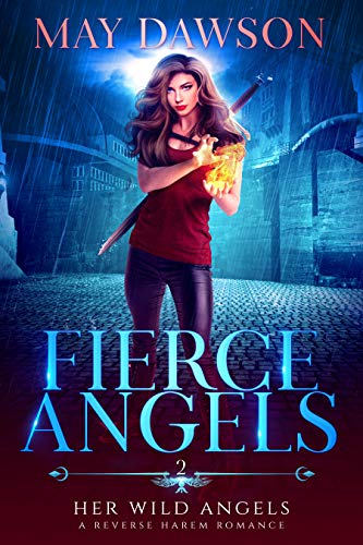 Fierce Angels book cover