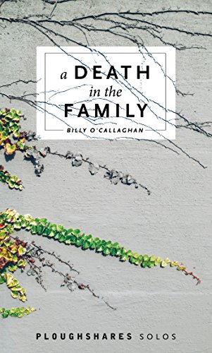 A Death in the Family book cover