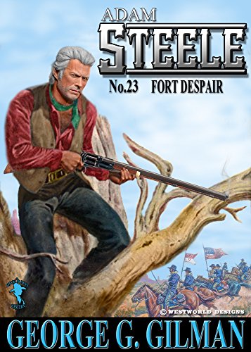 Fort Despair book cover