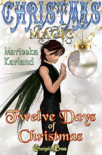 Twelve Days of Christmas book cover