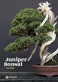 Juniper Bonsai Guide