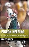 Pigeon Keeping A Guide On How To Rear Healthy Pigeons English Edition