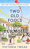 Two Old Fools In Turmoil English Edition