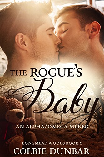 The Rogue's Baby book cover