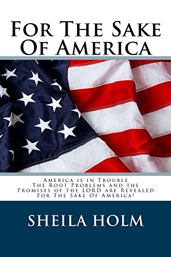 For The Sake Of America book cover