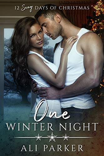 One Winter Night book cover