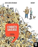 Histoire Dessine De La France Tome 2 Lenqute Gauloise