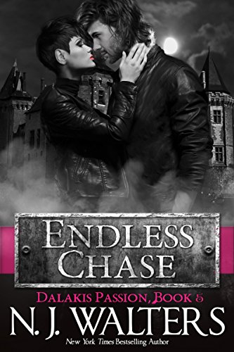 Endless Chase book cover
