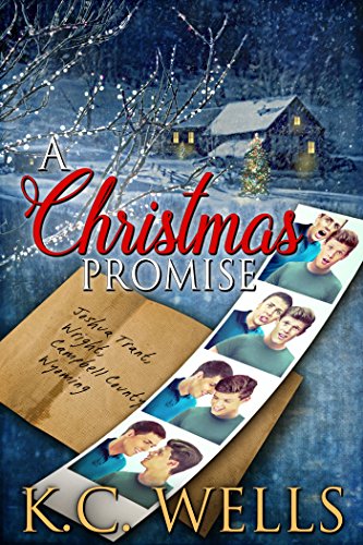 A Christmas Promise book cover