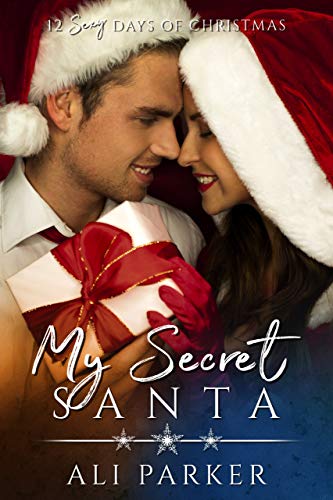My Secret Santa book cover